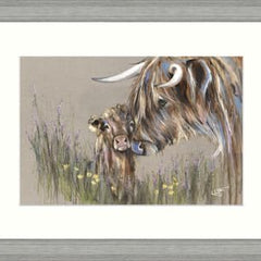 Collection image for: Cows