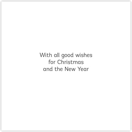 Charity Christmas Cards Pack of 6 - Charity Christmas Cards with a Robin on a Snowy Branch Design - Eco-Friendly Xmas Cards Multipack with Envelopes