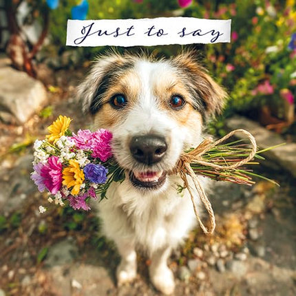 Blank Notecards Pack of 6 - Cute Dog & Flowers Design - Premium Greeting Cards Multipack with Envelopes - Suitable for Birthday, Thank You & Other Occasions