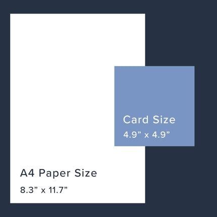 Blank Notecards Pack of 6 - Coastal Harbour Design - Scenic Blank Greeting Cards with Envelopes