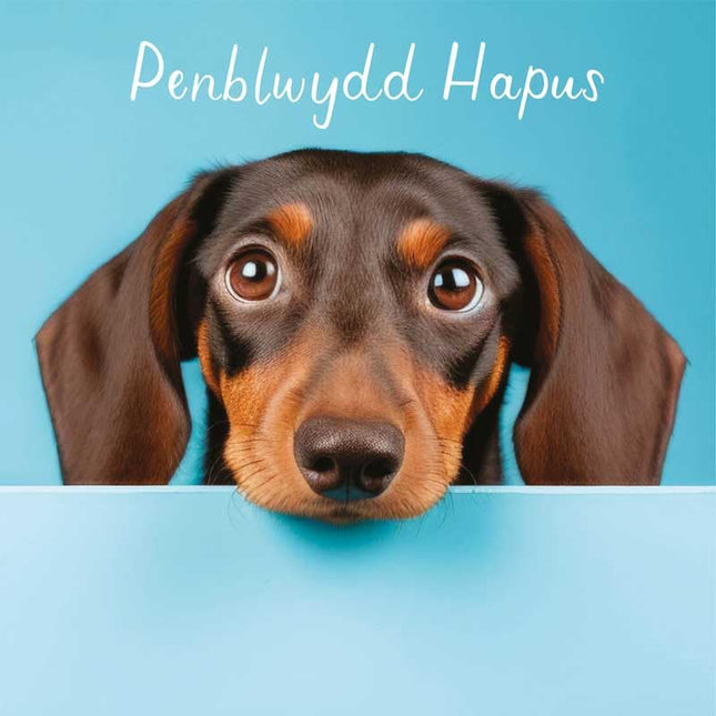Welsh Birthday Card, Cute Sausage Dog Puppy, Penblwydd Hapus