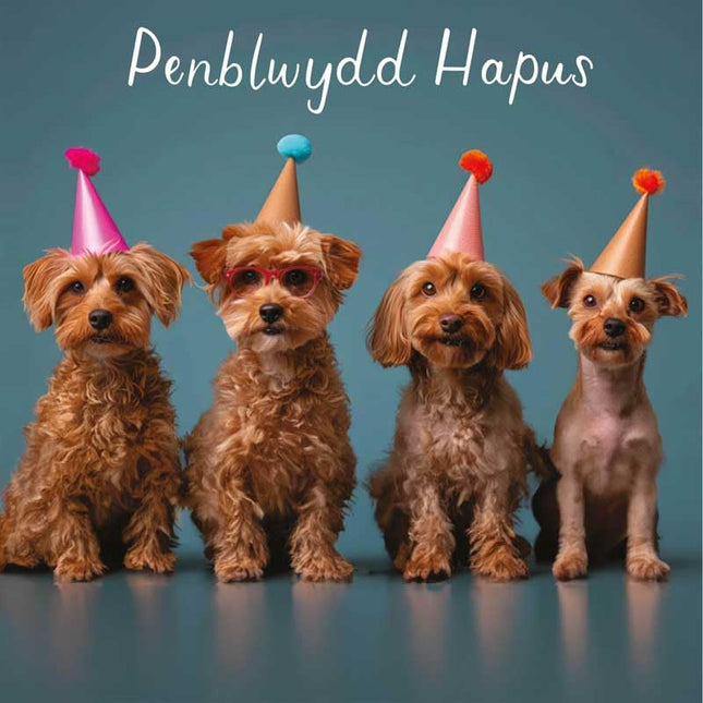 Welsh Birthday Card, Party Dogs, Penblwydd Hapus