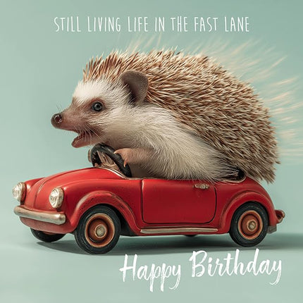 Funny Birthday Card for Men or Women - Amusing Hedgehog & Classic Car Design - Premium Greeting Card with Envelope - Eco-Friendly & Recyclable