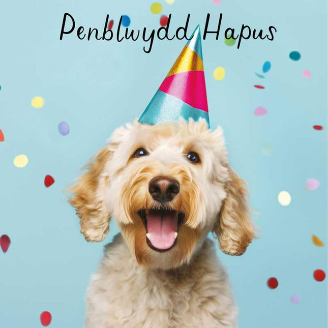 Welsh Birthday Card, Party Dog, Penblwydd Hapus