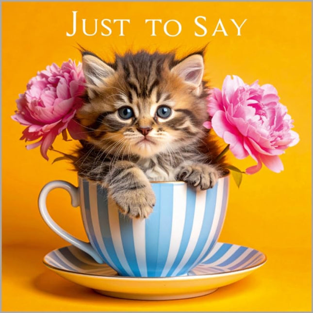 Blank Notecards Pack of 6, Cute Teacup Kitten