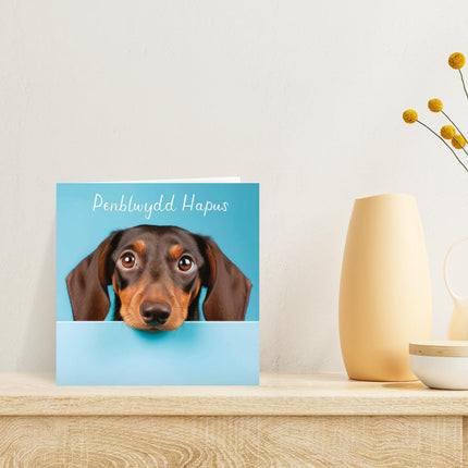 Welsh Birthday Card, Cute Sausage Dog Puppy, Penblwydd Hapus