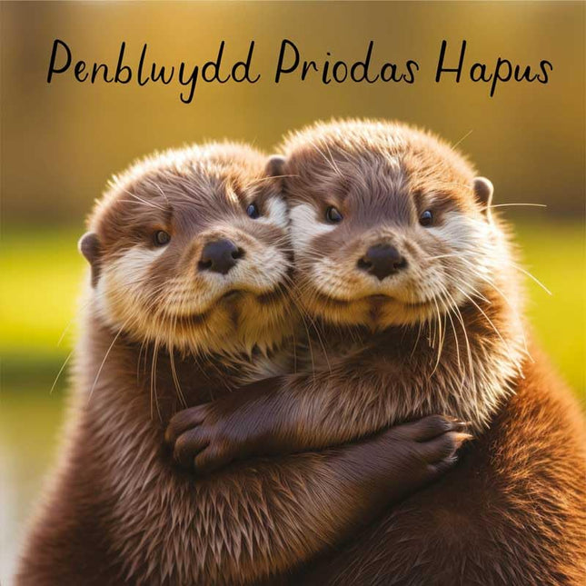 Welsh Anniversary Card, Cute Otters, Penblwydd Priodas Hapus