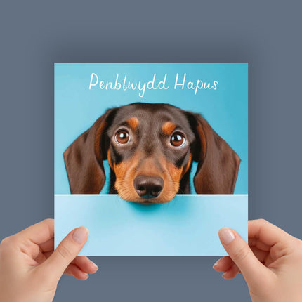 Welsh Birthday Card, Cute Sausage Dog Puppy, Penblwydd Hapus