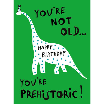 Funny Birthday Card for Men or Women - Amusing Dinosaur Old Age Joke - Embossed Finish - Premium Birthday Greeting Card with Envelope - 'You're Prehistoric!'