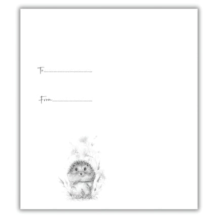 Female Money Wallet Birthday Card - Money Wallet Card for Women or Girls with Artistic 'Just For You' Hedgehog and Flower Pot Design