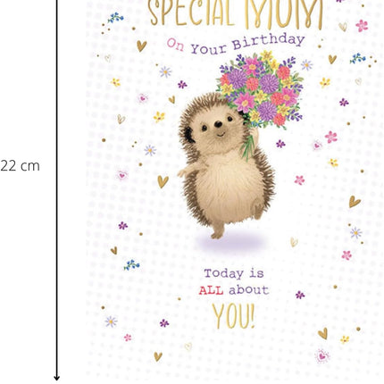Birthday Card for a Special Mum – Hedgehog & Flowers Design
