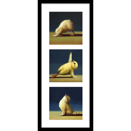 Funny Yoga Chicks Framed Print Wall Art - 'Yoga Chick Triptych' by Lucia Heffernan - Quirky Animal Themed Artwork - Ready to Hang Gym Home Décor - 22cm x 52cm
