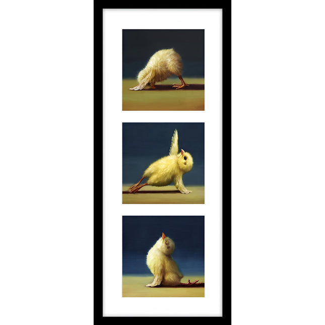 Funny Yoga Chicks Framed Print Wall Art - 'Yoga Chick Triptych' by Lucia Heffernan - Quirky Animal Themed Artwork - Ready to Hang Gym Home Décor - 22cm x 52cm