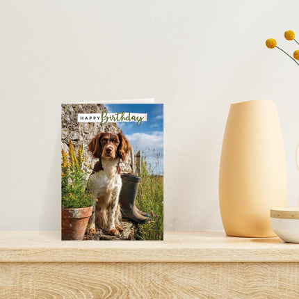 Birthday Card for Dog Lovers, Springer Spaniel Countryside Design