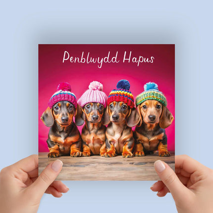 Welsh Birthday Card, Dachshund Puppies, Penblwydd Hapus