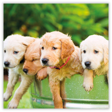 Birthday Card - Cute Labrador Puppy Design - Birthday Greeting Card for Him, Her, Kids, Teens or Adults