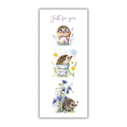 Female Money Wallet Birthday Card - Money Wallet Card for Women or Girls with Artistic 'Just For You' Hedgehog and Flower Pot Design