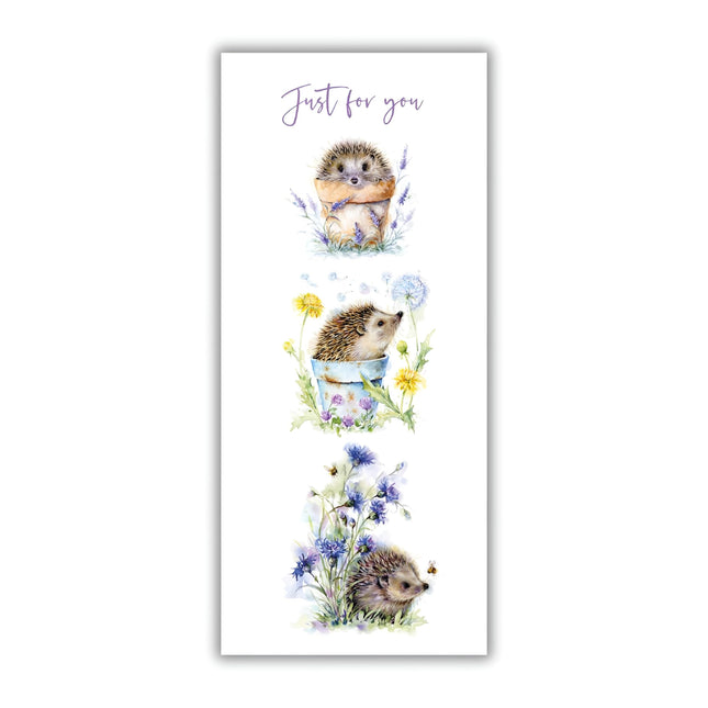 Female Money Wallet Birthday Card - Money Wallet Card for Women or Girls with Artistic 'Just For You' Hedgehog and Flower Pot Design