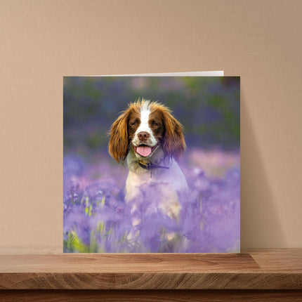 Blank Card For Men or Women - RSPCA Charity Springer Spaniel Dog - Premium Greeting Card with Envelope - Suitable for Birthdays & Other Occasions