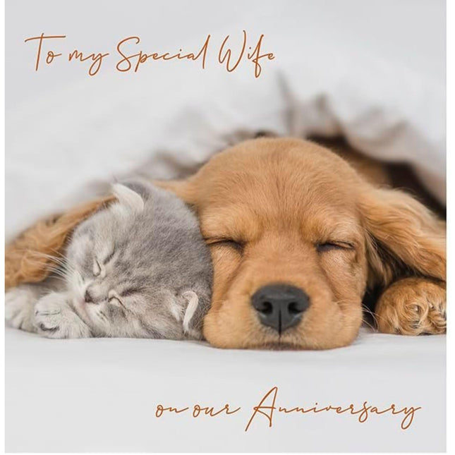 Anniversary Card for Wife - Cute Puppy & Kitten - Anniversary Greeting Card with Envelope - For a Special Wife
