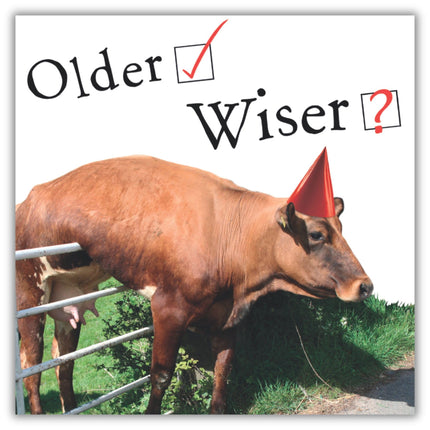Funny Birthday Card for Men - Stuck Cow Joke - Amusing Birthday Greeting Card for Him