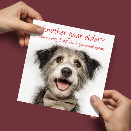 Funny Birthday Card for Men or Women - Amusing Terrier Joke for Dog Lovers - Premium Greeting Card with Envelope - Eco-Friendly & Recyclable