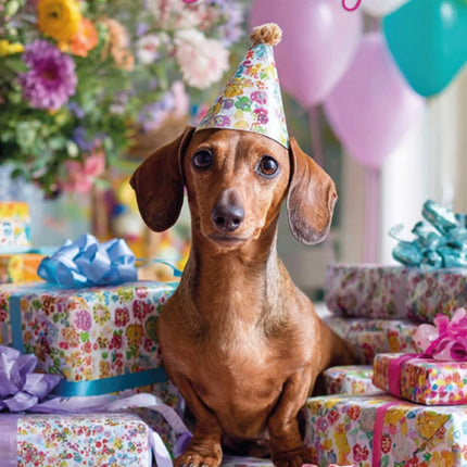 Birthday Card for Her, Cute Dachshund Dog and Presents