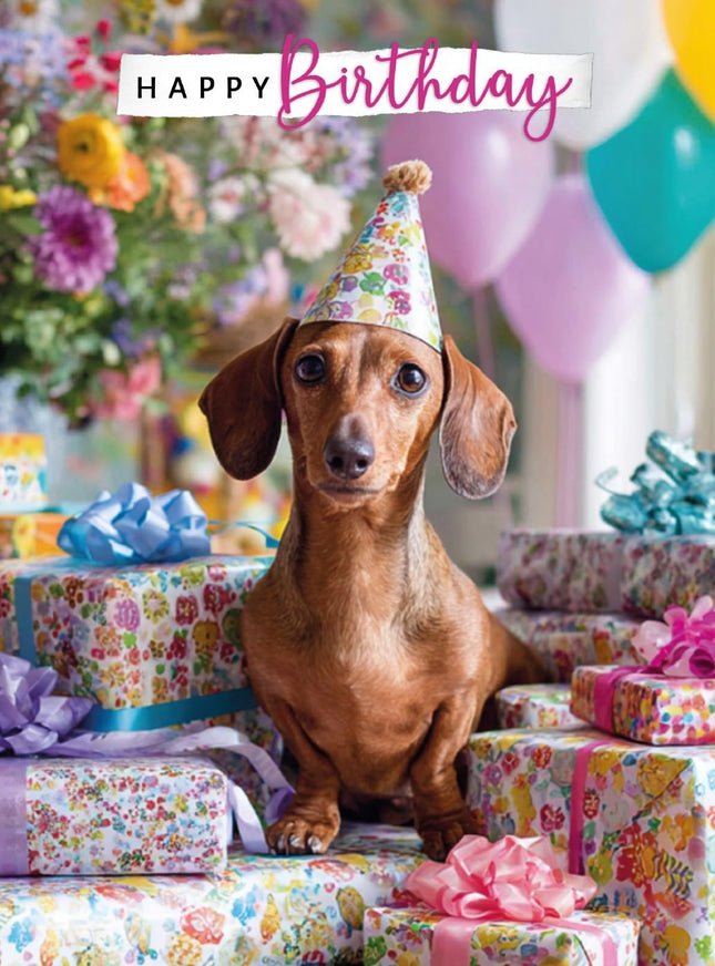 Birthday Card for Her, Cute Dachshund Dog and Presents