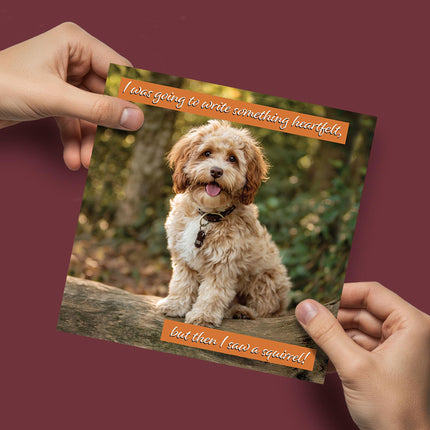 Funny Birthday Card for Dog Mum or Dog Dad - Amusing Cockapoo & Squirrel Joke from Fur Baby, Pet or Puppy - Premium Greeting Card with Envelope
