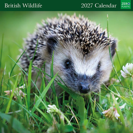 British Wildlife 2027 Calendar - Month to View Wall Calendar UK - 2027 Wall Planner and Personal Organiser for Home and Office