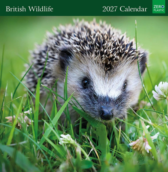 British Wildlife 2027 Calendar - Month to View Wall Calendar UK - 2027 Wall Planner and Personal Organiser for Home and Office