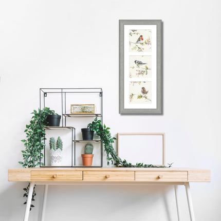 Garden Birds Triptych Framed Print Wall Art - 'Garden Party' by Nicola Jane Rowles - Contemporary Wildlife Picture - Ready to Hang Home Décor - 55cm x 25cm