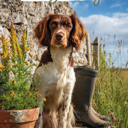 Birthday Card for Dog Lovers, Springer Spaniel Countryside Design