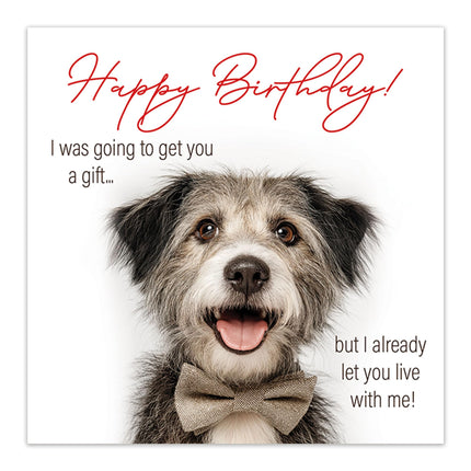 Funny Birthday Card for Dog Mum or Dog Dad - Cheeky Joke from Fur Baby, Pet or Puppy - Premium Greeting Card with Envelope