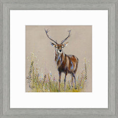 Collection image for: Louise Luton