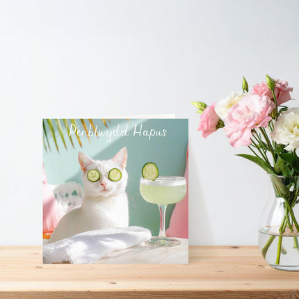Funny Welsh Birthday Card for Her, Spa Cat, Penblwydd Hapus
