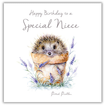 Birthday Card for Niece - Cute Hedgehog in Plant Pot Design - Birthday Greeting Card with Envelope - For a Special Niece