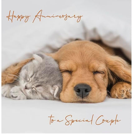Anniversary Card for Special Couple - Cute Puppy & Kitten - Lovely Greeting Card for Anniversary Celebrations