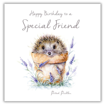 Birthday Card for Friend - Cute Hedgehog in Plant Pot Design - Birthday Greeting Card with Envelope - For a Special Friend