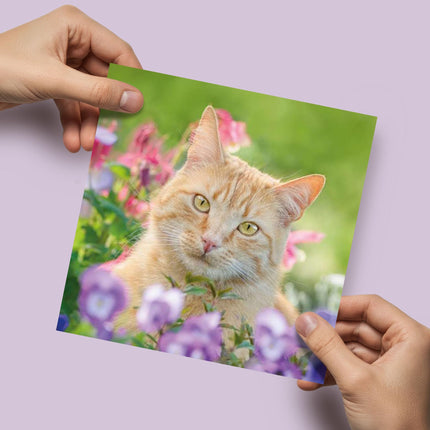 Birthday/Blank RSPCA Charity Card for Women - Cute Cat & Flowers - Premium All Occasion Greeting Card with Envelope