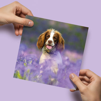 Blank Card For Men or Women - RSPCA Charity Springer Spaniel Dog - Premium Greeting Card with Envelope - Suitable for Birthdays & Other Occasions