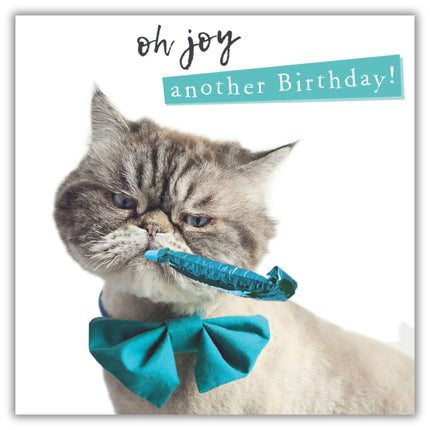 Funny Birthday Card for Men or Women - Grumpy Cat - 'Oh Joy Another Birthday' - Amusing Joke Greeting Card