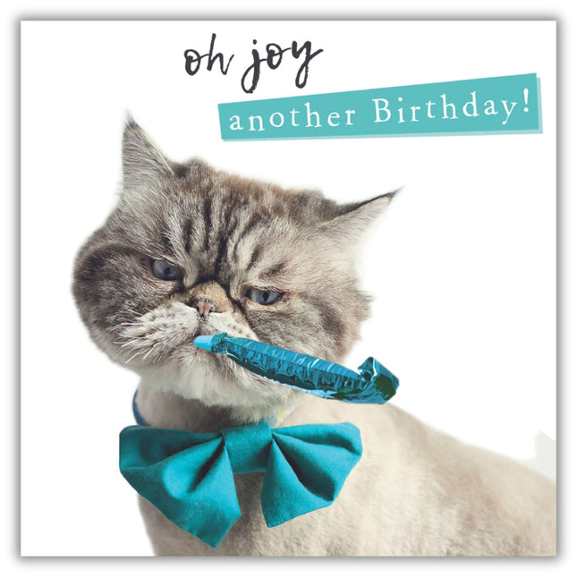 Funny Birthday Card for Men or Women - Grumpy Cat - 'Oh Joy Another Birthday' - Amusing Joke Greeting Card