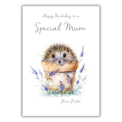 Birthday Card for Mum - Cute Hedgehog in Plant Pot - Birthday Greeting Card with Envelope - For a Special Mum