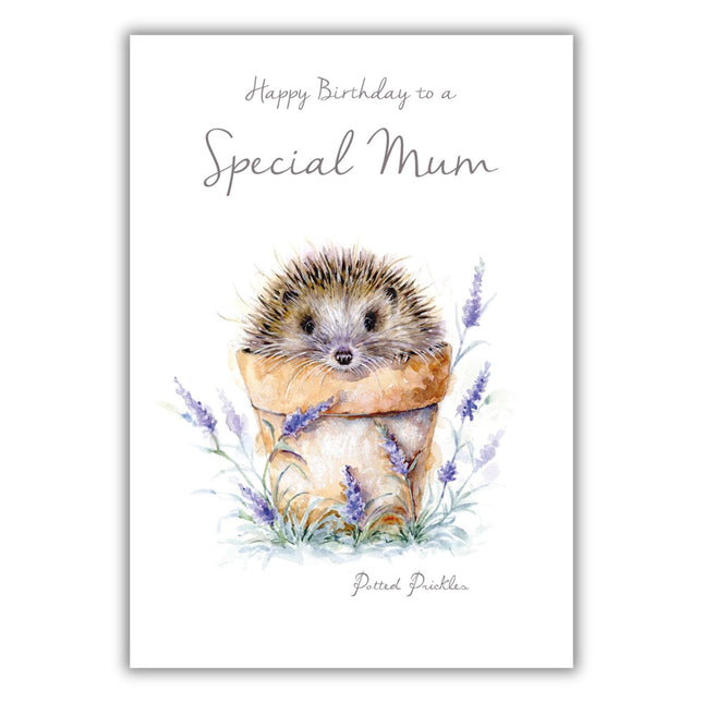 Birthday Card for Mum - Cute Hedgehog in Plant Pot - Birthday Greeting Card with Envelope - For a Special Mum