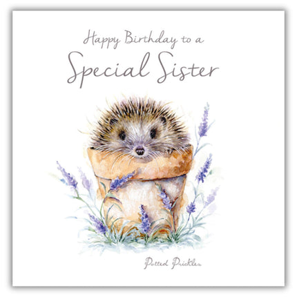 Birthday Card for Sister - Cute Hedgehog in Plant Pot - 'For a Special Sister' Birthday Greeting Card