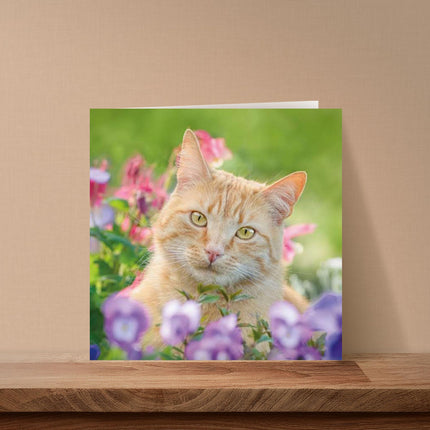 Birthday/Blank RSPCA Charity Card for Women - Cute Cat & Flowers - Premium All Occasion Greeting Card with Envelope