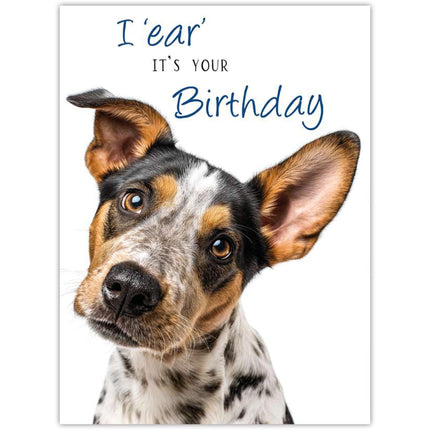 Funny Birthday Card for Men - Dog Pun Joke - Amusing Happy Birthday Greeting Card with Envelope