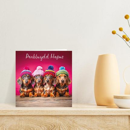 Welsh Birthday Card, Dachshund Puppies, Penblwydd Hapus