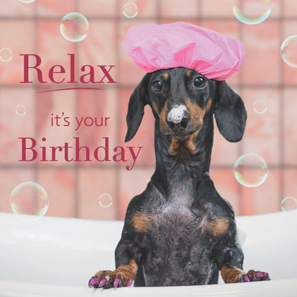 Funny Birthday Card for Women or Girls - Cute Dachshund Dog Design - Amusing Greeting Card - 'Relax it's your Birthday'